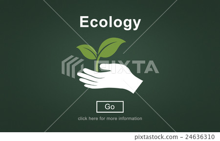 Ecology Environmental Conservation Preservation Concept Ecology Environmental Conservation Preservation Concept 24636310