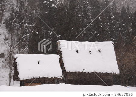 Field Museum Minka Garden Spot Japan 24637086