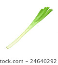 蔥 24640292