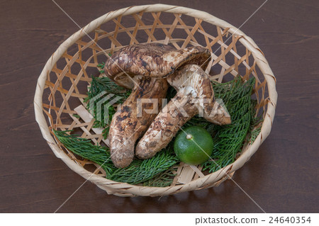 Matsutake 24640354