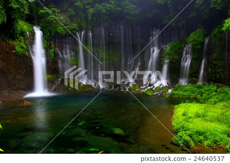Shiraito Falls（靜岡縣） 24640537