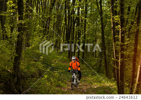 Biker on the forest road 24641612
