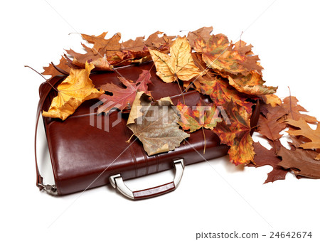 Brown leather briefcase and autumn multicolor leaf 24642674