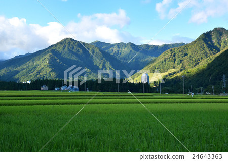 Morning of Echigo Yuzawa 24643363