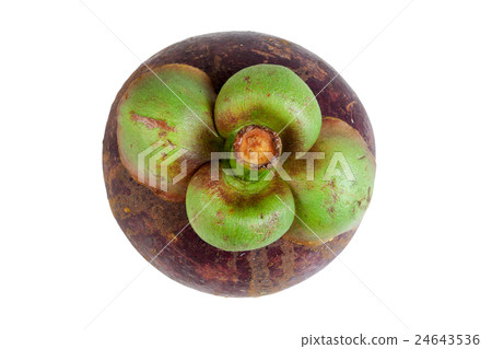 Mangosteens Queen of fruits on white Mangosteens Queen of fruits on white 24643536
