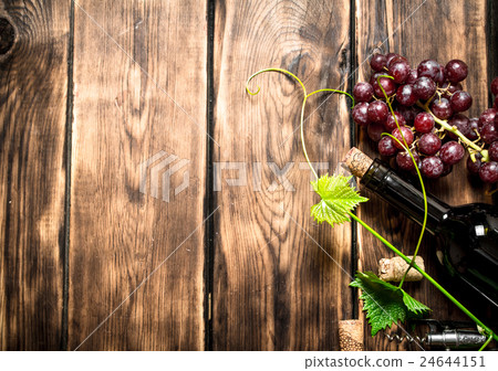 Bottle red wine with a sprig of grapes. 24644151