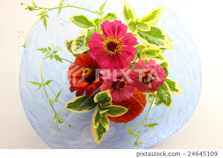 花束的插花 24645109