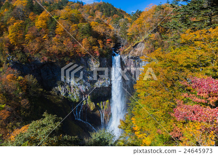 秋天葉子的名字瀑布華嚴瀑布 24645973