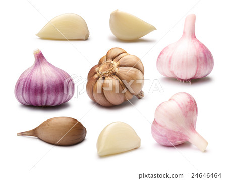 Set of different garlic cloves, paths Set of different garlic cloves, paths 24646464
