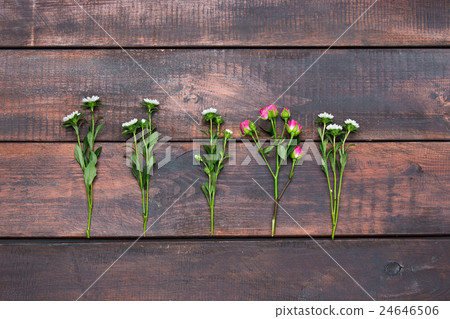The wooden table with roses, top view The wooden table with roses, top view 24646506
