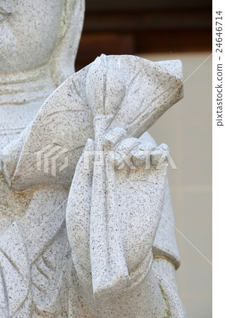 菩薩手用蓮花 菩薩手用蓮花 24646714