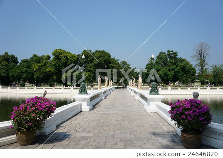 garden, ayudhaya, ayutthaya 24646820