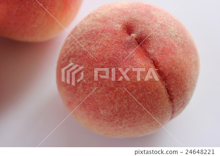 桃桃桃~PEACH~ 24648221