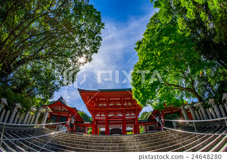 [滋賀縣]近江神社 24648280