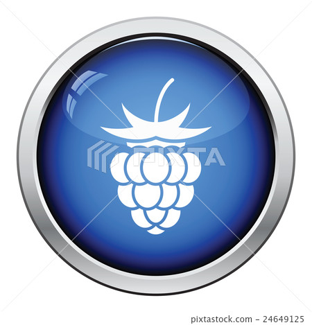 Icon of Raspberry Icon of Raspberry 24649125