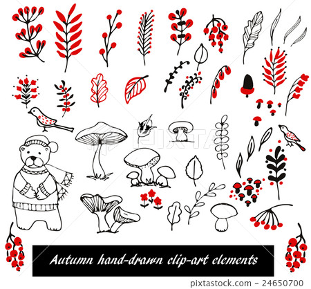 Hand Drawn floral elements set 24650700