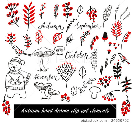 Hand Drawn floral elements set Hand Drawn floral elements set 24650702