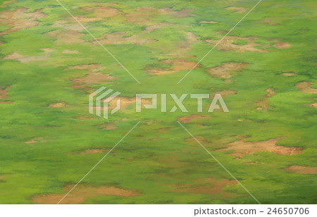 Large lawn area Large lawn area 24650706