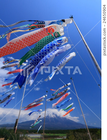 富士和鯉魚飄帶 24650904