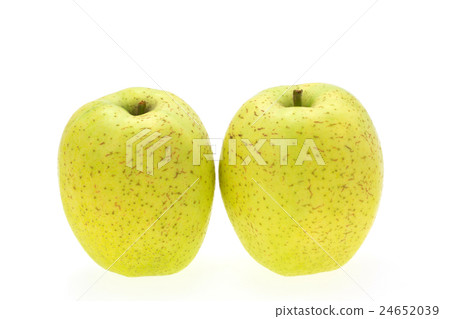 Aomori apple forest 24652039