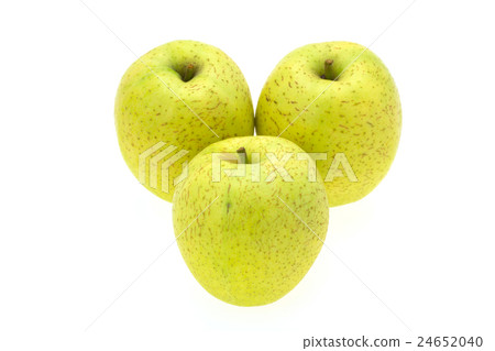 Aomori apple forest 24652040