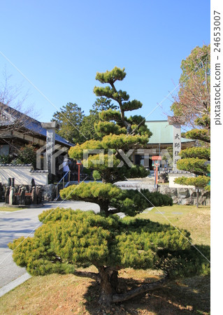 Shikoku Shrine Plant No. 40 Buddha Temple of the Shogunate Temple 24653007
