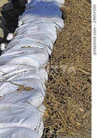 沙袋 沙袋 24654300