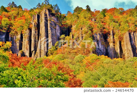 Banji of autumn leaves 24654470