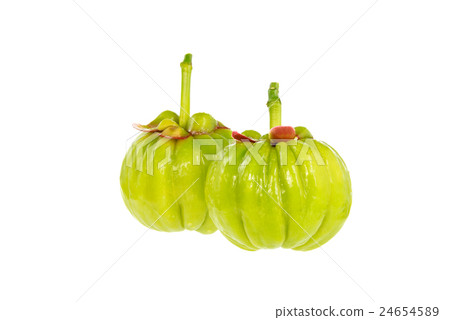 Garcinia cambogia fresh fruit, isolated on white. 24654589