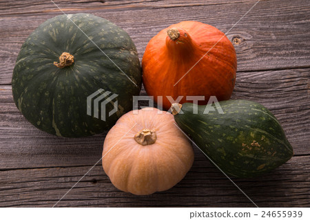 Pumpkin gathering Pumpkin gathering 24655939