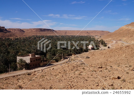 綠洲和棗椰子農場在摩洛哥Kasbah方式高速公路 24655992