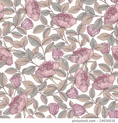 Hand drawn rose garden 24656016