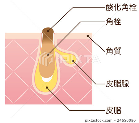 孔隙結構矩形塞截面圖 孔隙結構矩形塞截面圖 24656080