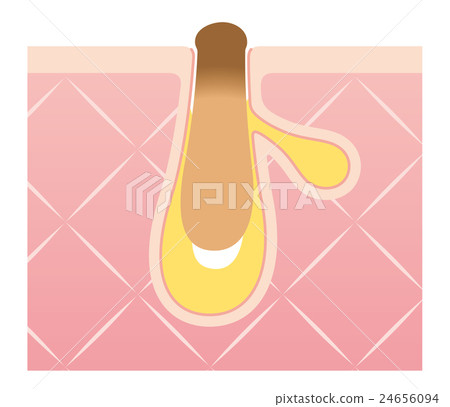 Structure of pores Rectangular plug sectional view Structure of pores Rectangular plug sectional view 24656094
