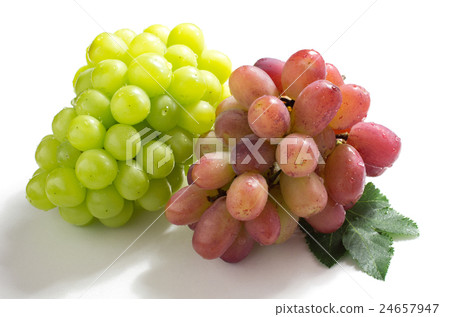 Shine Muscat & Rizamado Okayama Prefecture No Species Shine Muscat & Rizamado Okayama Prefecture No Species 24657947
