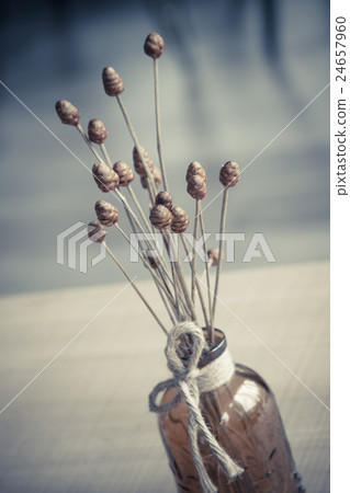 Dry grass flower with vase on wood background 24657960