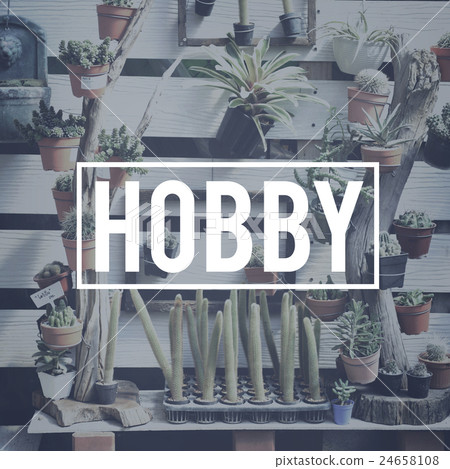 Hobby Leisure Houseplant Cactus COncept 24658108