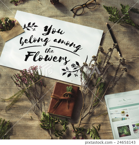Flower Adorable Blossom Bouquet Bunch Bloom Concept 24658143