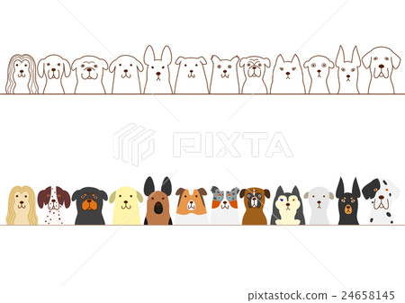 Dog's border 24658145