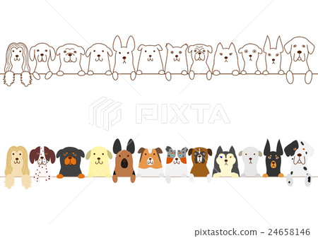 Dog's border 24658146