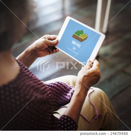 Organic Agriculture Crop Environment Growing Concept Organic Agriculture Crop Environment Growing Concept 24670488