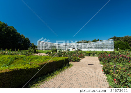 Jindai Botanical Park Great greenhouse and summer sky 24673621
