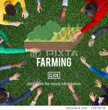Organic Agriculture Crop Environment Growing Concept Organic Agriculture Crop Environment Growing Concept 24674576