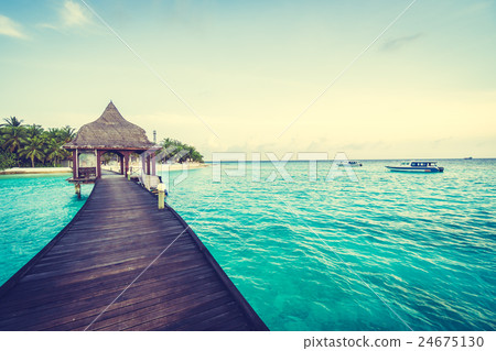 Maldives island Maldives island 24675130