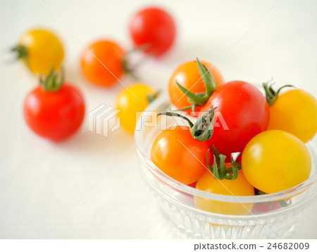多彩迷你番茄（水平位置） 24682009