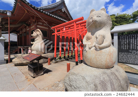 四國佛教徒84號Tigerhouse Yajima Temple Hondo和Minesyama Daimyojin（日本的三隻浣熊浣熊，四國浣熊Tatamiro Tanuki的一般統治者） 24682444