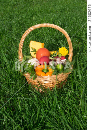 Basket with vegetables is on the grass 24682676