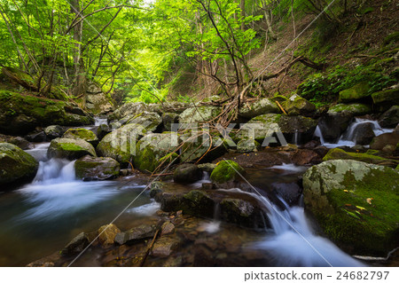 The unexplored area of Hyogo! At the foot of Hikioyama, the valley of the source of the Idara River (Shiso city, Hyogo Prefecture) 24682797