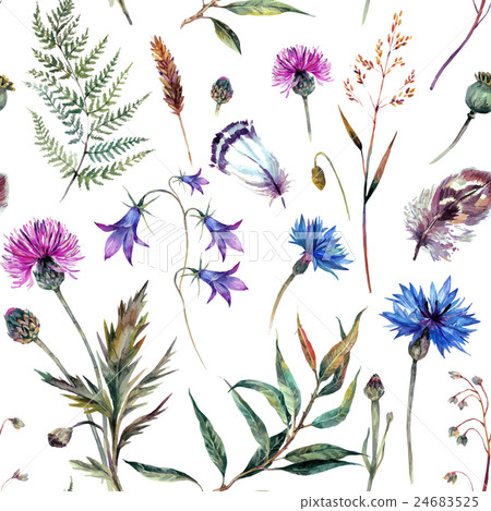 Hand drawn watercolor wildflowers Hand drawn watercolor wildflowers 24683525