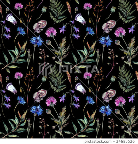Hand drawn watercolor wildflowers 24683526
